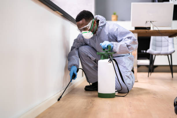 Professional Pest Control in Southchase, FL